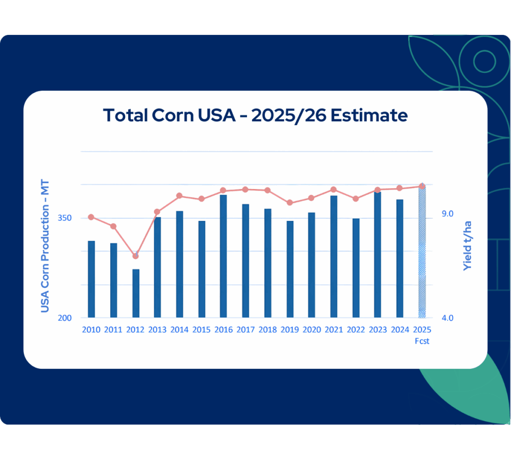 US Corn Production Estimates Rise Due to Higher Planted Areas and Yield ...