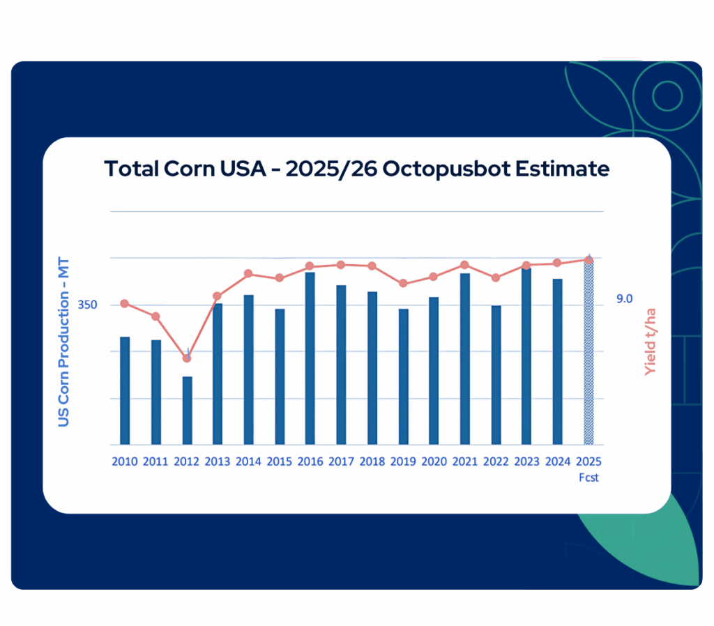 US Corn Production Estimates Increased Due to High Rainfall, Improved ...